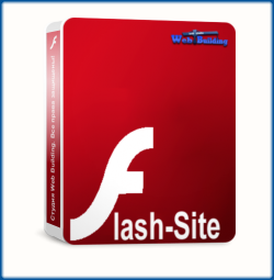 Flash website