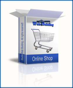 through Internet-store