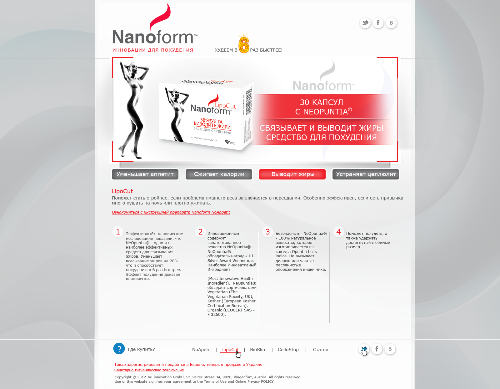 Создание сайта Nanoform 3